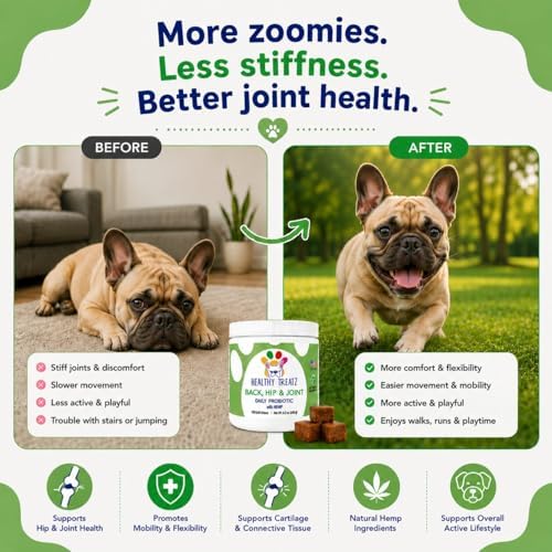 Back, Hip & Joint Supplement for Dogs – Glucosamine, Chondroitin, MSM & Hemp Soft Chews for Back, Hip & Joint Support – 120 Count, All Breeds, Made in USA.