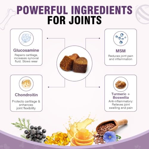 Hip and Joint Supplement for Dogs 200ct, Glucosamine Chondroitin for Dogs