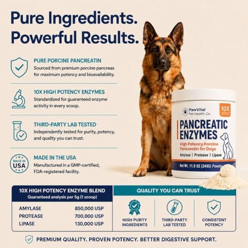 Pancreatic Enzymes for Dogs – 10X High Potency Porcine Pancreatin Digestive Enzyme Powder with Amylase, Protease & Lipase – EPI Support, Digestion & Nutrient Absorption – 340g