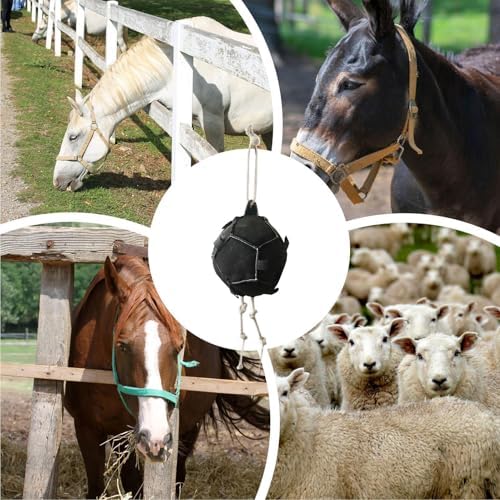 Horse Boredom Toys - Interactive Carrot Feeder | Interactive Funny Carrot Treat Dispenser Toy for Horses, Stall Boredom Relief Accessory for Play, Feeding, Training, Stable, Barn, Farm Use