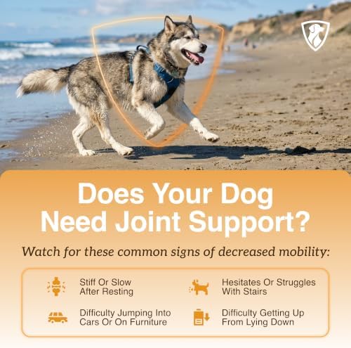 NutraRegen Select Forte Dog Joint Supplement for Senior Dogs – Glucosamine, Chondroitin, MSM, Collagen & Green-Lipped Mussel – Hip & Joint Mobility, Flexibility & Comfort – 45 Scoops
