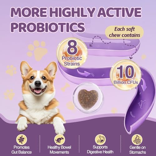 Probiotics for Dogs with Feeding Tweezers, 10 Billion CFUs Chews for Gut & Digestive Health, Itchy Skin & Ears, Diarrhea Relief & Immune Support with 8 Probiotic, Prebiotics, Chicken, 120 Ct/300g