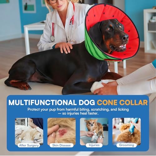 Queenmore Soft Cone for Dogs, Dog Cones for Large Dogs to Stop Licking, Dog Soft Cone, Elizabethan Collar for Pets, Alternative Pet Recovery Collar for Wound Healing, Watermelon L