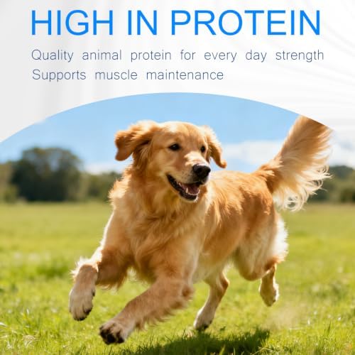 Duck Feet for Dogs, 12 Count Dog Chews Joint & Dental Health Supplement