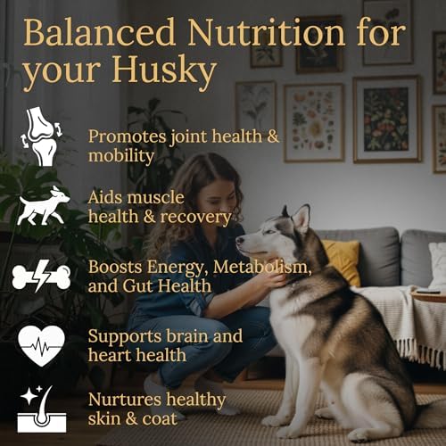 Multivitamins, Balanced Nutrition for Your Husky, 90 Count, Made in the USA with Real Bacon