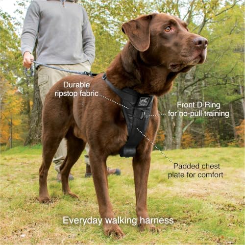 Kurgo Tru-Fit Smart Harness, Black, Medium