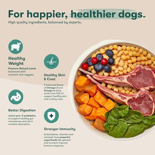 Jinx Premium Grain-Free Dry Dog Food, for All Lifestages - Grass-Fed Lamb, Sweet Potato & Carrot Dog Food with Superfoods for Immune Support & Probiotics for Digestive Support - No Fillers - 4lb