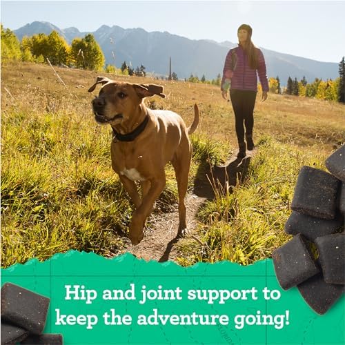 Zuke's Hip and Joint Dog Treats, Chicken Recipe, 16 oz Pouch