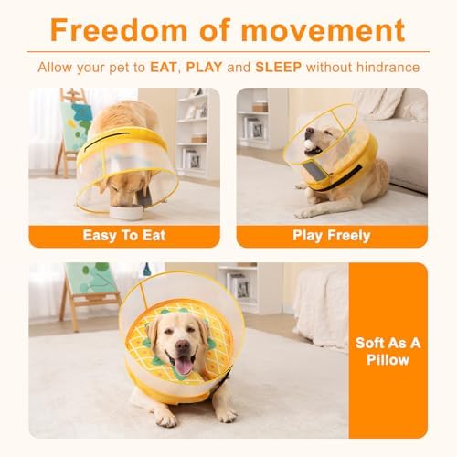 Inflatable Dog Cone Collar for Large Medium Small Dogs, Soft Dog Donut Collar Adjustable Recovery Cone for Pets After Surgery, Extra Enhanced Anti-Licking Guard Shield (Pineapple, Medium Plus)