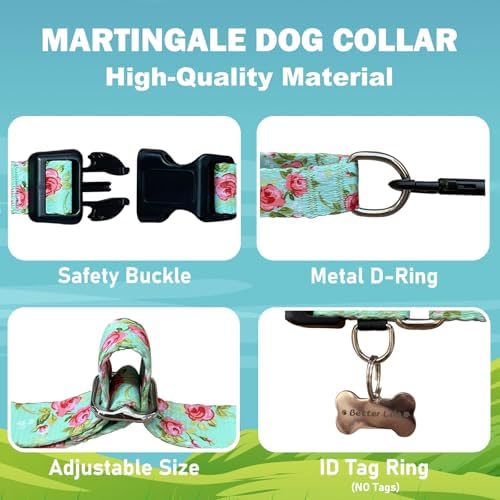 Martingale Collar for Dogs with Buckle No Pull, Green Floral, XS