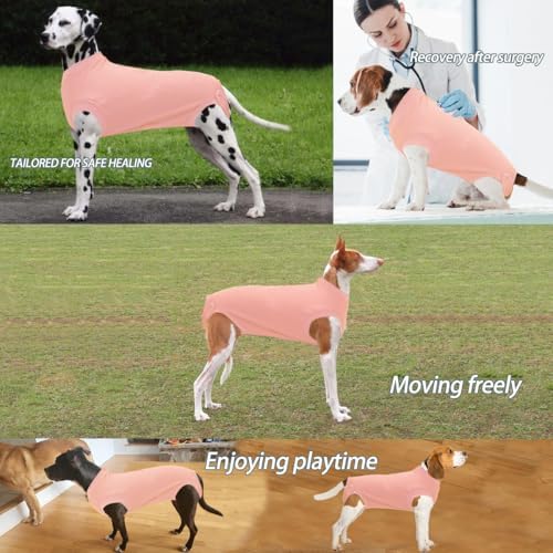 Recovery Suit for Female Dogs, Dog Cone Alternative After Spay