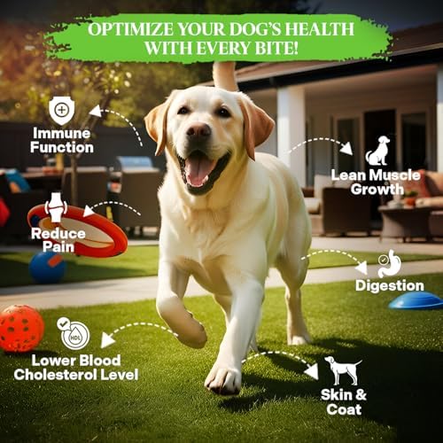Healthy Dogma - PetMix Dehydrated Dog Food - Raw, Clean Ingredient Dog Food - Joint Support & Mobility - No Preservatives, 2 lbs
