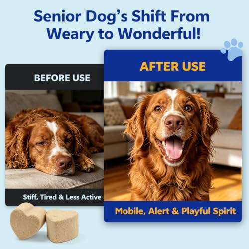 NAD+ Senior Dog Supplement - 14-in-1 NMN Longevity, 125 Soft Chews