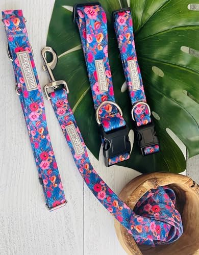 Lucky Love Dog Martingale Collar for Small Dogs No Slip Cute – Zuzu, Small