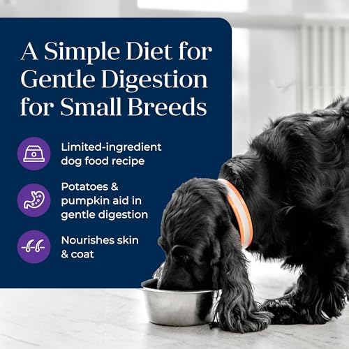Blue Buffalo Basics Turkey Small Breed Adult Wet Dog Food, 3.5 oz, 12 ct