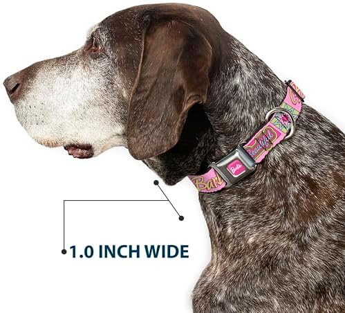 Mattel Pet Collar, Dog Collar Metal Seatbelt Buckle, Barbie Smart Beautiful Strong Icons Pink Multi Color, 13 to 17 Inches 1.5 Inch Wide