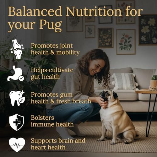 Multivitamins, Balanced Nutrition for Your Pug, 90 Count, Made in the USA with Real Bacon