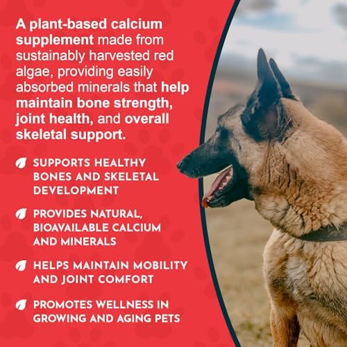 Animal Essentials Sea-Cal Joint Health - 12 Oz (Pack of 2)