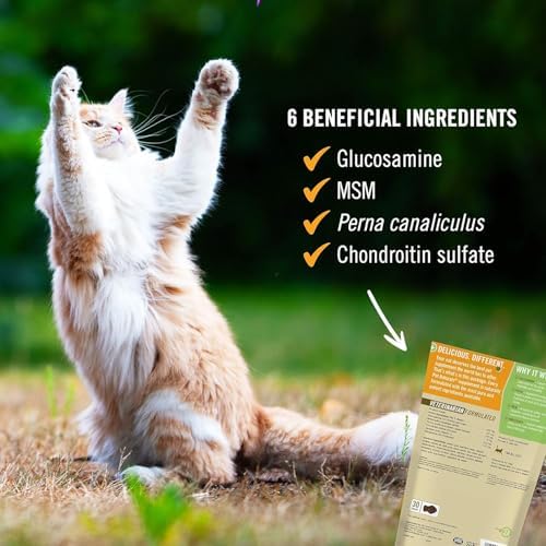 Pet Naturals Hip and Joint Chews for Cats, Duck Flavor, 30 Count