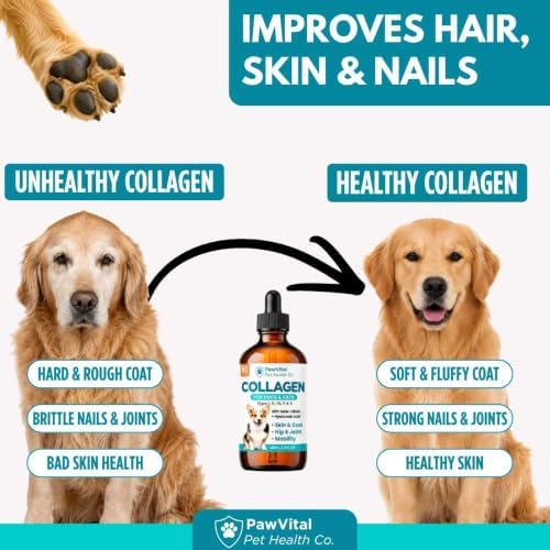 Liquid Collagen for Dogs – 1000mg 5 Types Grass-Fed Collagen Peptides (I, II, III, V & X) with MSM, Glucosamine, Chondroitin, Hyaluronic Acid – Skin & Coat, Itch Relief, Hip & Joint Support – 4oz