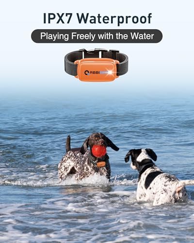 ABBIDOT Shock Collar for Dogs 3300Ft 4 Training Modes Dog Training Collar, IPX7 Waterproof, Nihgt Light, Safety Lock, Rechargeable E-Collar for Small Medium Large Dogs (15-120 lbs)，Pumkin Orange