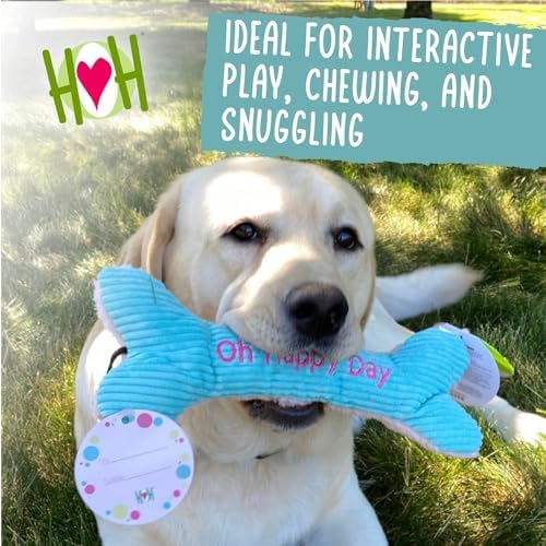HuggleHounds Plush Dog Toy - Fuzzy Birthday Dog Toy, Plush Soft Fleece, Interactive Durable Stuffed, for Small and Large Breeds with Squeaker - Birthday Bone