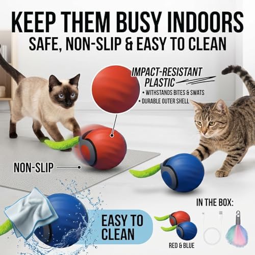 Teazys Cat Toy Turbo Tail 3.0,Interactive Cat Toy Ball, Automatic Cat Toy with Tail, Electric Rolling Ball on Carpet, Cat Enrichment Toys for Small/Medium/Large Cats to Keep Them Busy (2PCS)