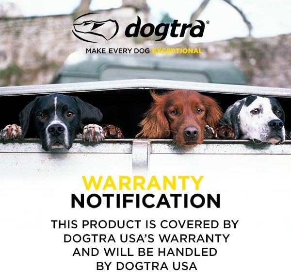 Dogtra 1902S HANDSFREE Plus Boost and Lock, Remote Dog Training E-Collar, HANDSFREE Square, 3/4-Mile Range, Rechargeable, Waterproof, High-Output, 2 Dog System, eCollar for Medium, Large Dogs
