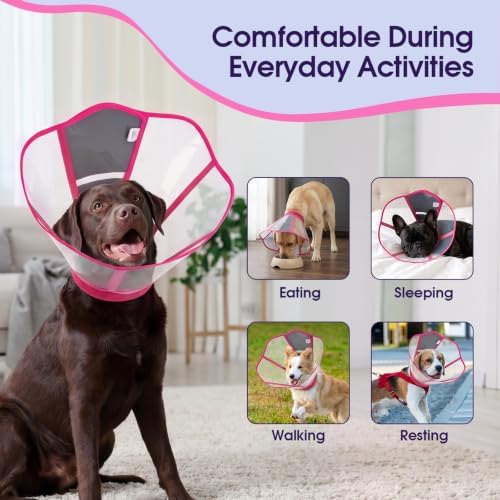 Dog Cone Collar After Surgery, Clear Recovery Collar to Stop Licking
