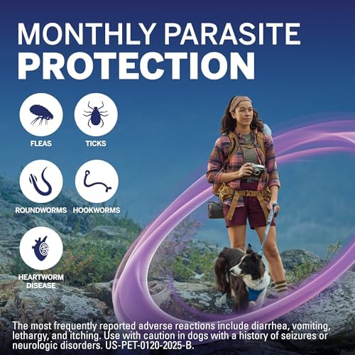 NexGard Plus (afoxolaner, moxidectin, and pyrantel) Flea and Tick Protection & Heartworm Preventive for Dogs Soft Beef Flavored Chewables, 17.1-33 lbs. (Gold) 6 Chews (6 Month Supply)