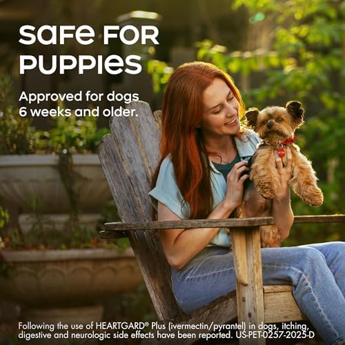 HEARTGARD® Plus (ivermectin/pyrantel) Real-Beef Chewables for Dogs up to 25 lbs (Blue Box) 1 Month Supply of Chews (Heartworm Disease Preventive)