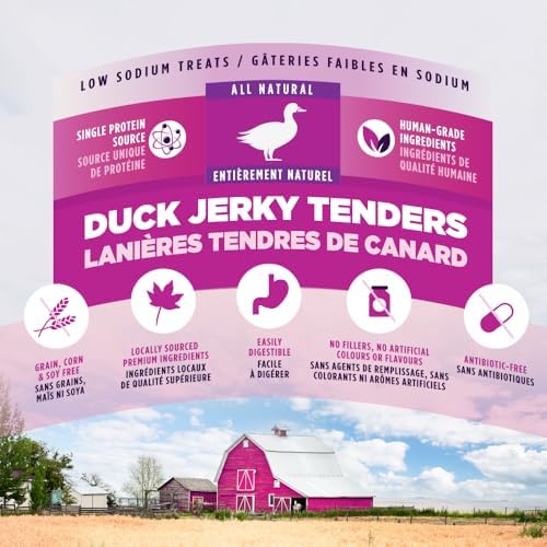 ZEAL Natural Duck Jerky Tenders for Dogs, 100% Real Canadian Duck, Limited Ingredient Novel Protein, Grain Free, Soft Chewy Treats, Air-Dried, Made in Canada, 10oz
