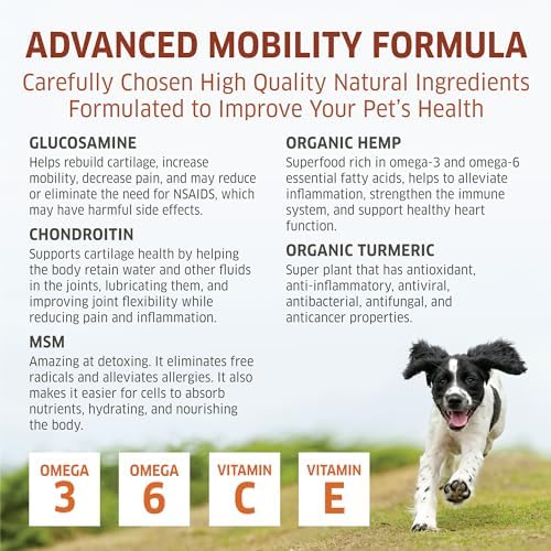 Hemp Hip and Joint Supplement for Dogs - Glucosamine for Dogs - Glucosamine Chondroitin for Dogs with MSM, Hemp, Turmeric & Omega 3 - Pain Relief - 120 ct Soft Chews - Made in The USA
