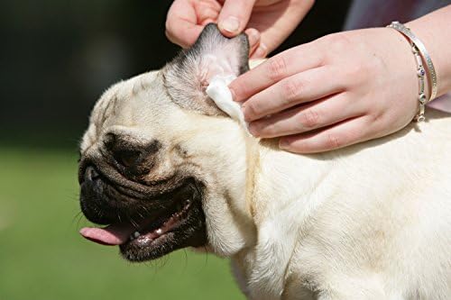 Immediate, Natural Relief with Witch Hazel Dog and Cat Ear Cleaner. Quickly Relieves Ear Infection Symptoms in 3-5 Days. 4 oz. Easy, 1-Step