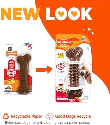 Nylabone Power Chew Dental Groove Bone Dog Chew Toy, Flavor Medley, Medium