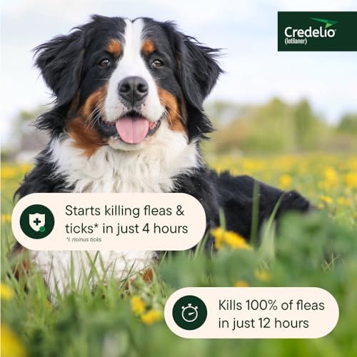 Credelio (lotilaner) Tick & Flea Treatment for Dogs 50.1-100 lbs., 3ct