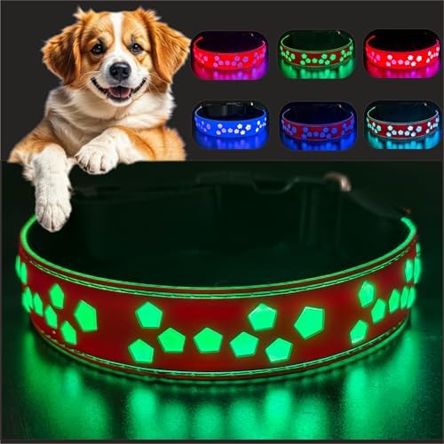 Personalized Light up Black Dog Collar with airtag Holder for Night Walk (RED Collar 15 Modes Lighting, M(11.8-15.7"))