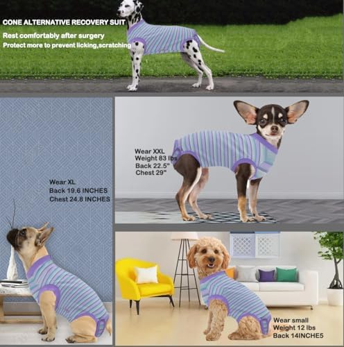 Recovery Suit for Female Dogs, Dog Cone Alternative After Spay