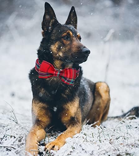 DOGWONG Christmas Dog Collar with Bow tie, Red Plaid Dog Collar Soft Durable Adjustable Cotton Red Tartan Gingham Puppy Collar for Small Medium Large Dog