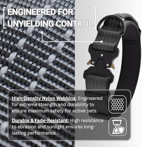 Dog Collar with AirTag Compatible Holder + Leash, Cobra Buckle, Padded, (L)