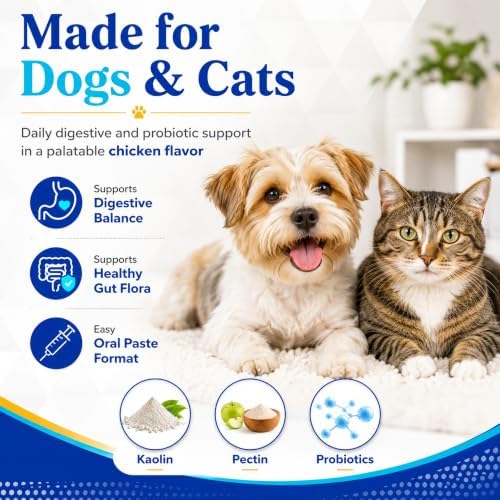 BalanceGI Probiotic Oral Paste for Dogs & Cats, Digestive Support, 30cc