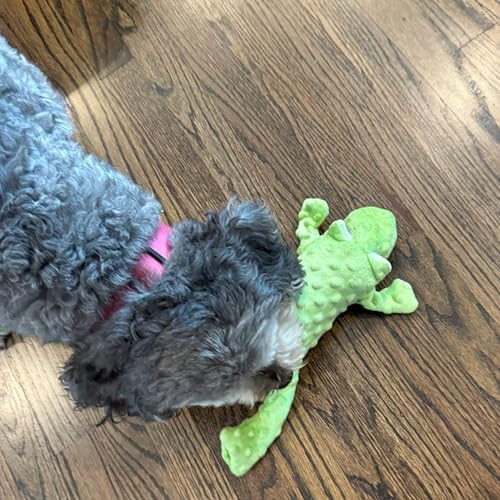 SPOT Skinneeez Extreme Stuffers Frog - Stuffing Free Dog Toy With Squeaker & Rip Stop Mesh Lining for Durability - Insert Plastic Bottle for Extra Crunch, For Small to Medium Puppies & Dogs - 14in