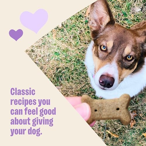Wellness Old Mother Hubbard Classic Bac'N'Cheez Dog Biscuits, Natural Training Treats, Bacon and Cheese Flavor, Small Size, 20 oz Bag