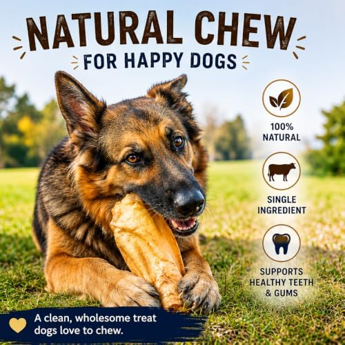 Nature’s Own Not-Rawhide Cherry Flavored Cow Ears for Dogs | Made in USA | Long Lasting Dog Chews | Safe Rawhide Alternative (Pack of 5)