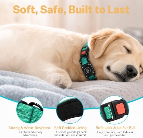 Geamen Waterproof Dog Collar QR Code Reflective Collar Teal,S | Built-in Waterproof Holder, QR Code Tag, Reflective,Secure Buckle