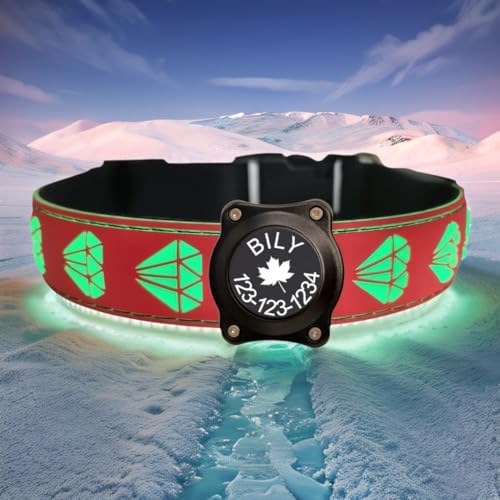 Personalized Dog Collar Waterproof airtag Dog tag Holder,USB C Light up Night Black Dog Collar (RED, L(15.7-19.7"))