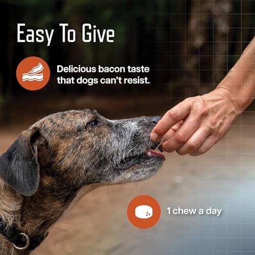 Virbac URSOLYX Soft Chews for Dogs | Muscle Health Support for Senior, Active or Recovering Dogs, Small | 120 Count 4-Month Supply