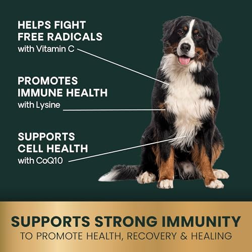 VetriScience Immunity Health for Medium and Large Dogs, 120 Count