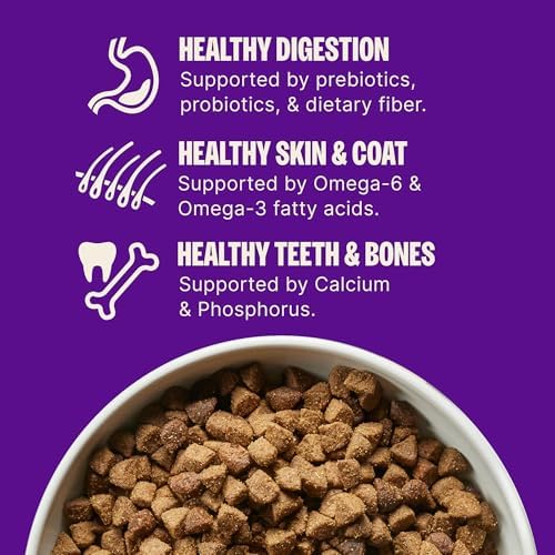 Wellness Complete Health Puppy Dry Dog Food, Wholesome Grain Kibble, Natural, Chicken, Oatmeal, and Salmon Recipe, 30 lb Bag