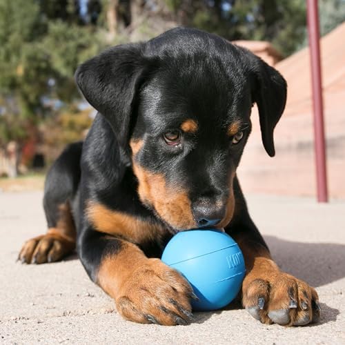 KONG Puppy Ball with Hole, Natural Rubber Teething Toy, Small Puppies, Blue